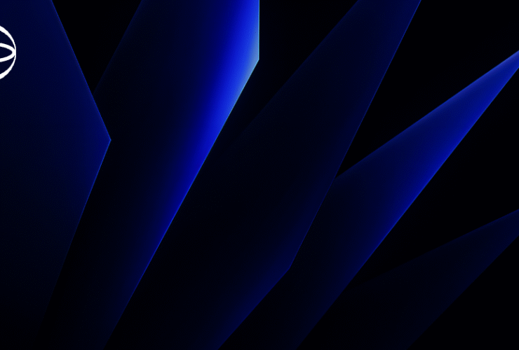 wallaper